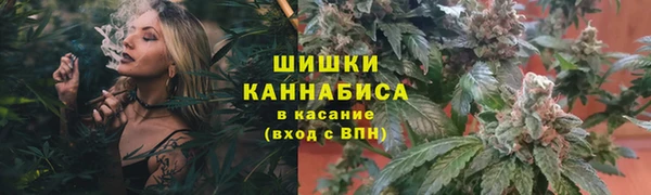 дмт Гусиноозёрск