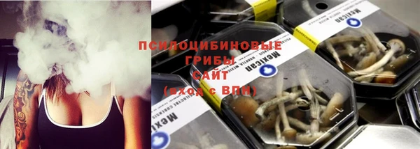 меф Гусь-Хрустальный