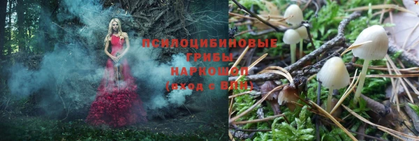 дмт Гусиноозёрск